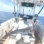 Charleston’s Hidden Fishing Hotspots the Guides Don’t Mention